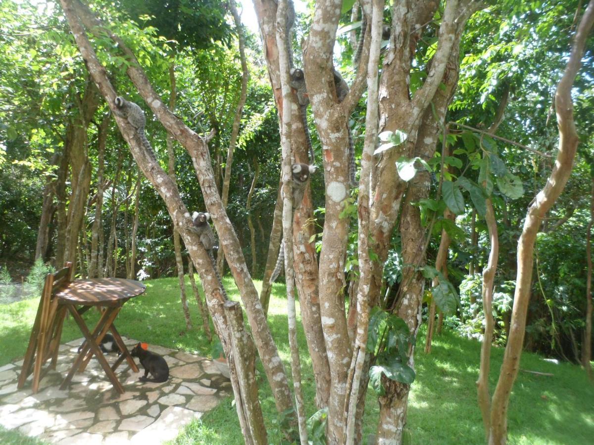 Casa Hermosa II Praia de Pipa المظهر الخارجي الصورة